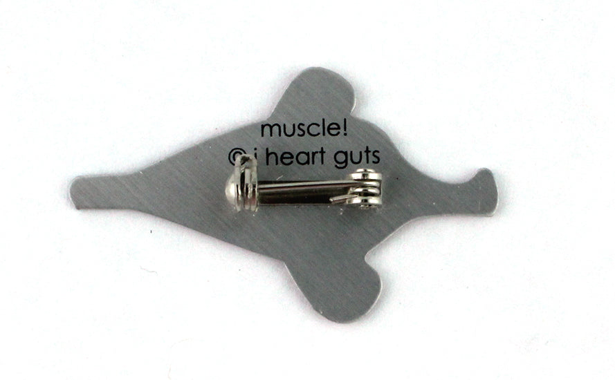 Muscle Lapel Pin - I'm Flexy and I Know It | I Heart Guts Plush Organs