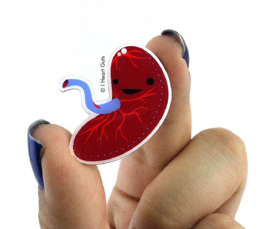 Placenta Pins | Cute Placenta Pins for Midwife, Doula, Pregnancy