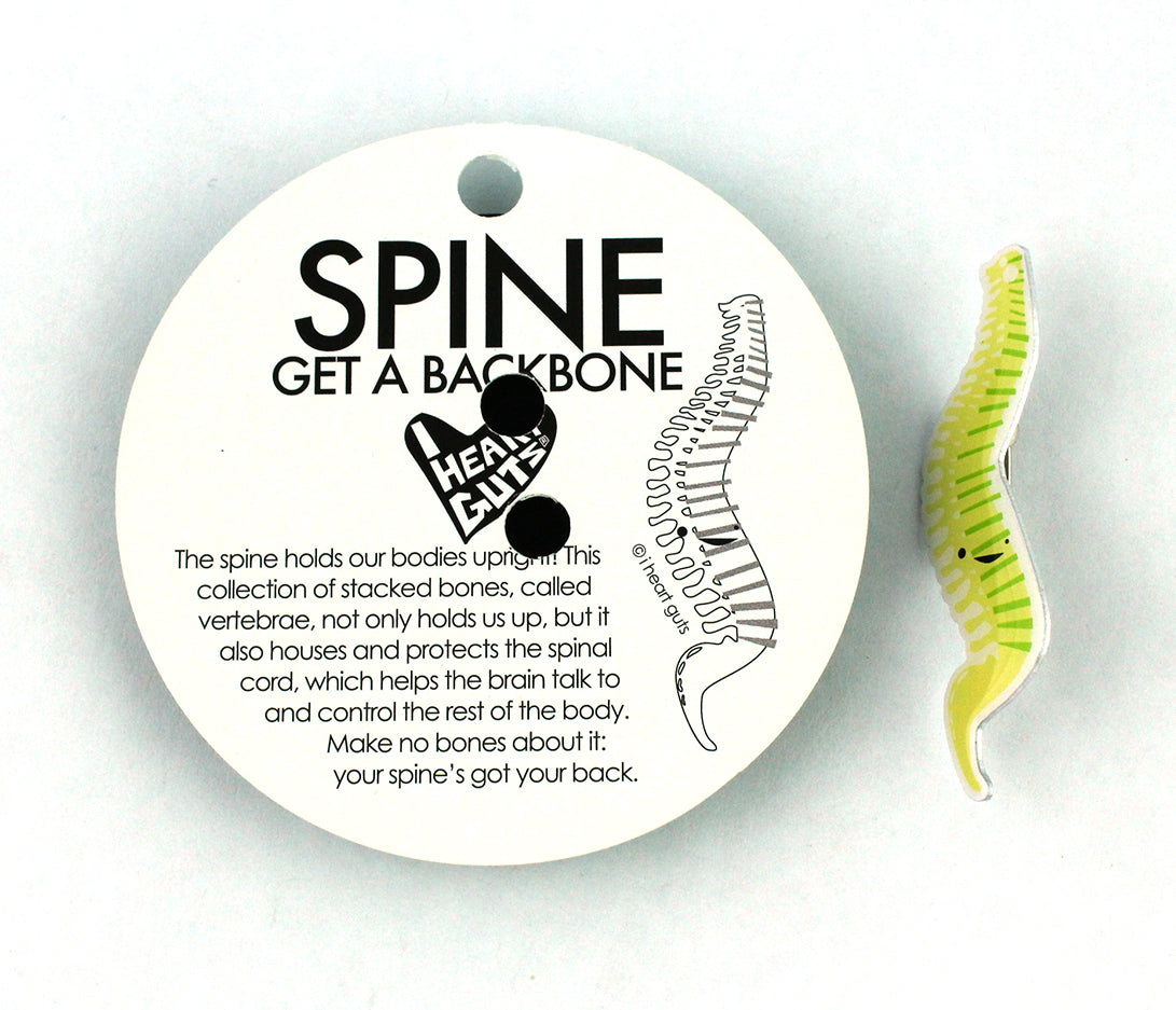 Spine Pin - Spine Surgery Pins & Gifts - Funny Cute Spine Anatomy Pins