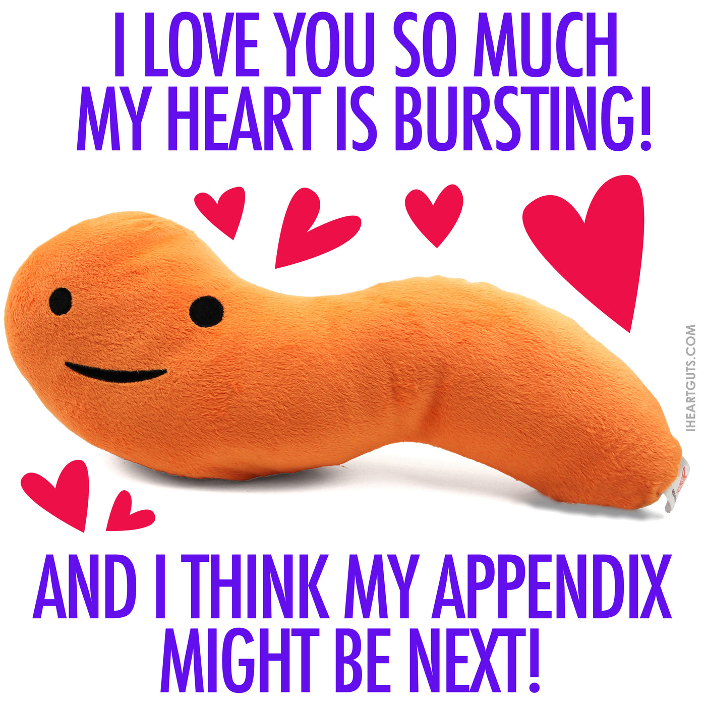 Appendix Plushie Get Well - Feel It In Your Gut - Plush Organ Toy | I ...
