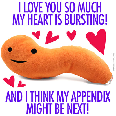 Appendix Surgery Gift - Appendix Removal Gift Ideas - Appendicitis Gifts - Appendectomy Funny Cute Gift