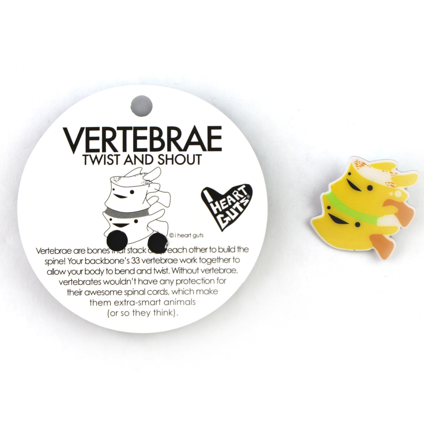 Vertebrae Lapel Pin | Vertebrae Gifts - Orthopedic Surgery Gift - Back Surgery Pin - Back Surgery Gift - Spine Surgery Pins