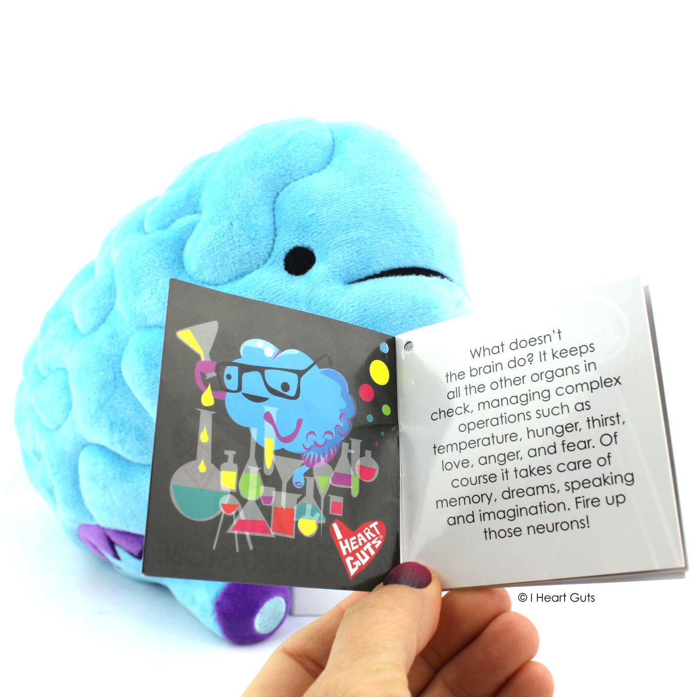Brain Plush - All You Need Is Lobe - Plush Organ Stuffed Toy Pillow - I Heart Guts
