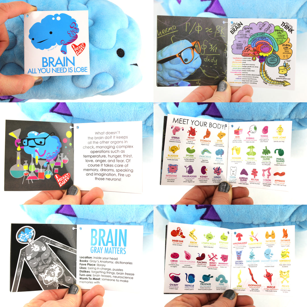 Brain Plushie - All You Need Is Lobe - Plush Organ Stuffed Toy