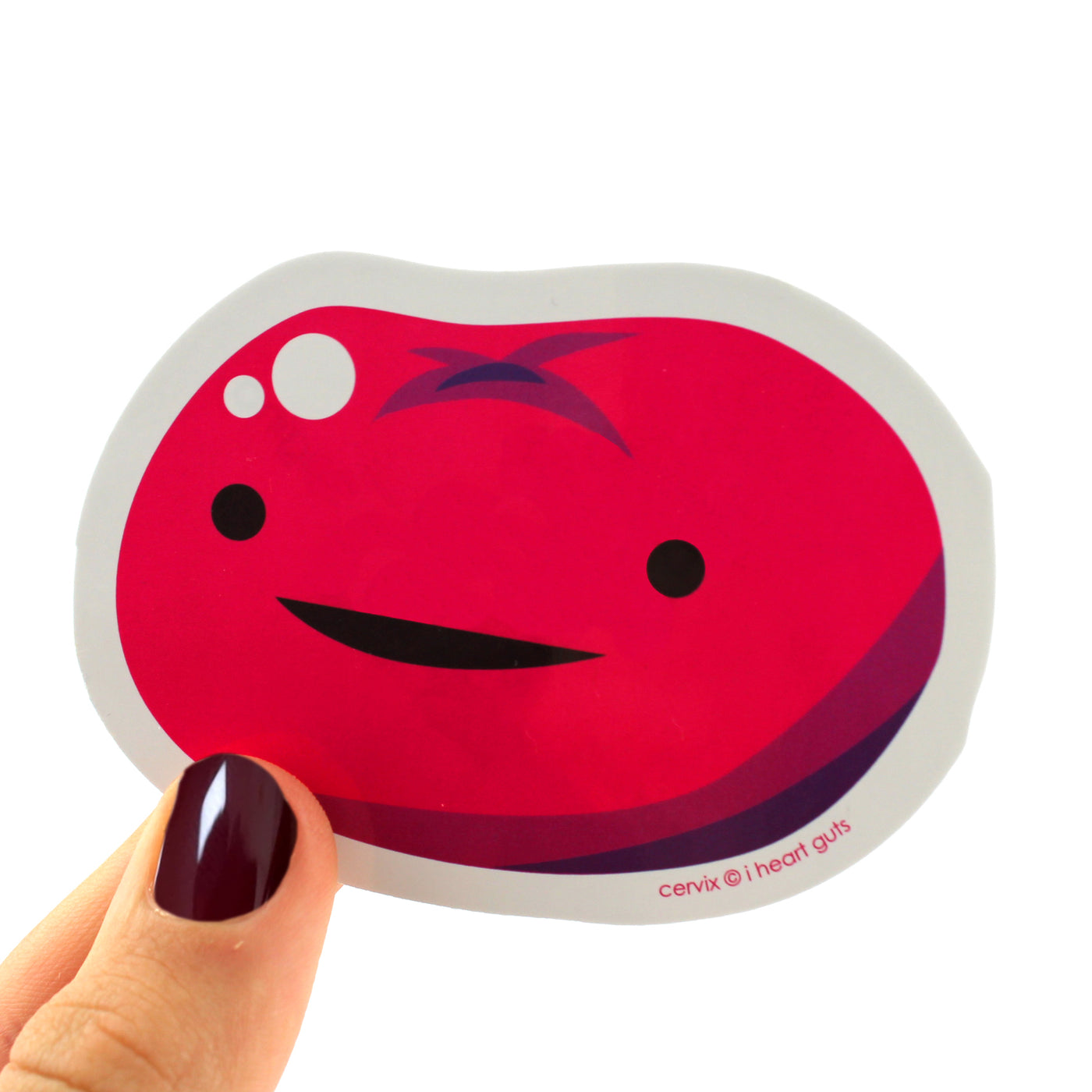 Sexy Reproductive Anatomy Stickers for Nerds Set - 15 Huge Stickers - I Heart Guts