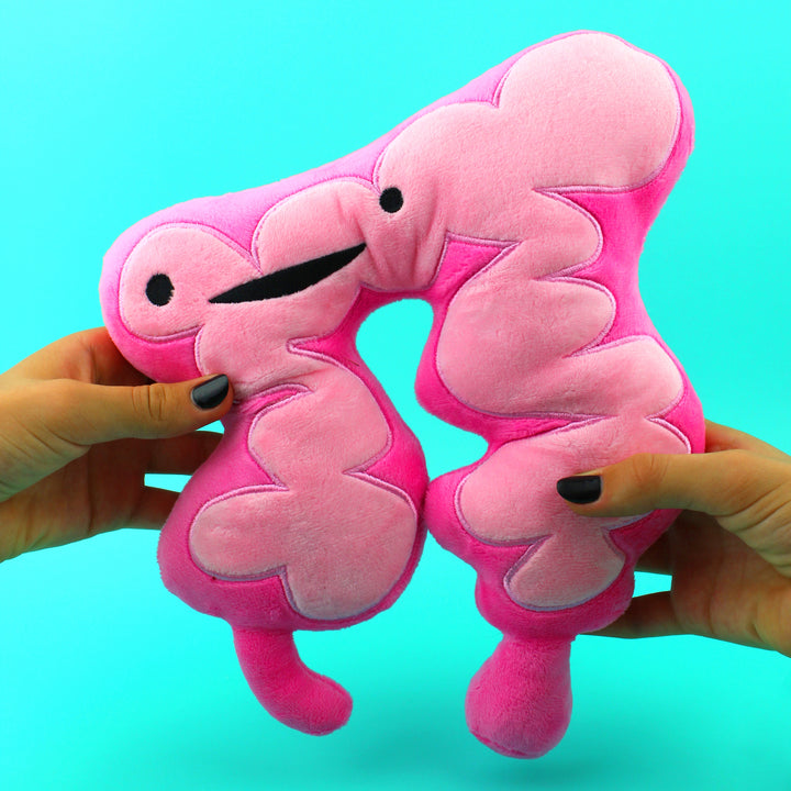 Colon Plushie - You Move Me - Plush Organ Stuffed Toy Pillow | I