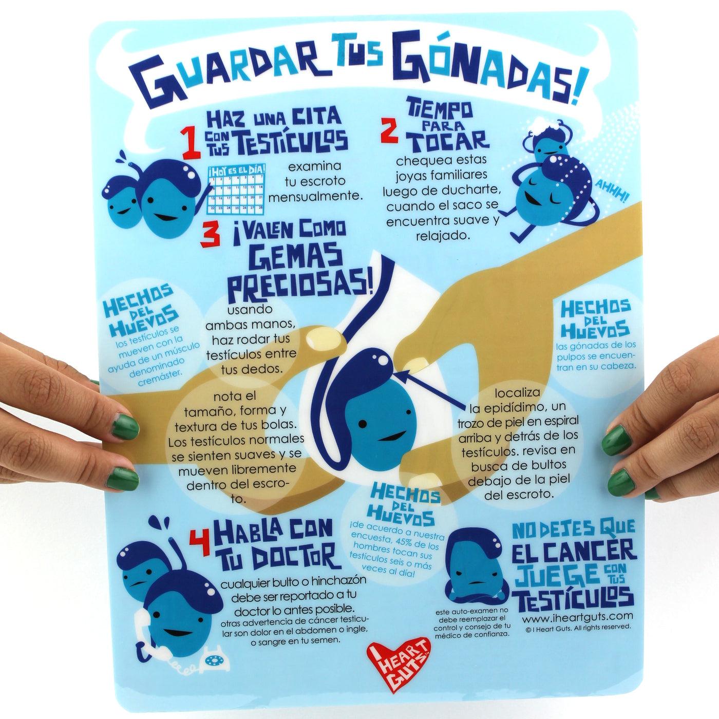 Grab Your Gonads Testicle Self-Exam Card - English/Spanish - I Heart Guts