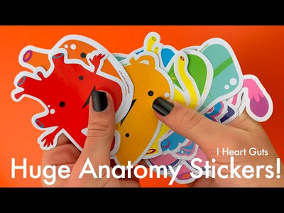 Giant Guts Sticker Set - Human Anatomy Stickers - 15 Cute Organ Vinyl Stickers