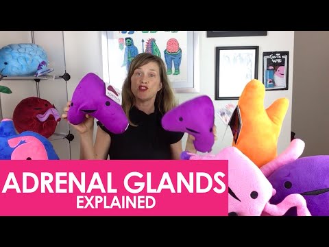 Adrenal Gland Plush - What a Rush - Plush Organ Stuffed Toy Pillow