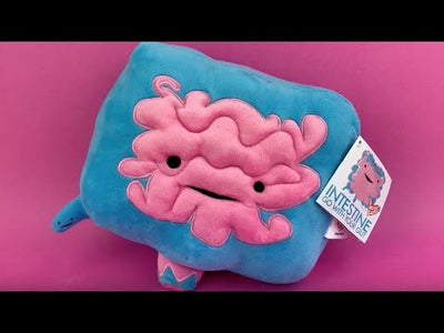 Intestine Plush - Go With Your Gut! - Plush Organ Stuffed Toy Pillow