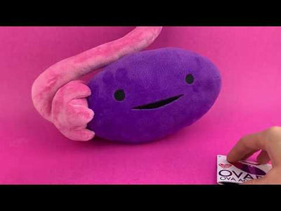 Ovary Plush - Ova Achiever - Plush Organ Stuffed Toy Pillow