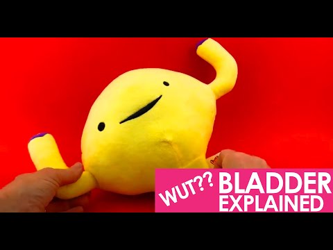 Bladder Plush - Don't Stop Relievin' - Plush Organ Stuffed Toy
