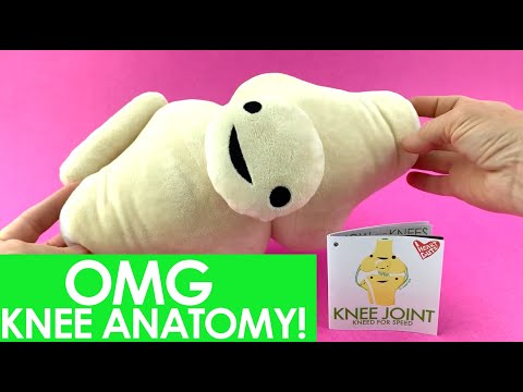 Knee Joint Plush - Kneed for Speed - Knee Replacement Gift