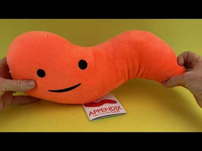 Appendix Plush - Feel It In Your Gut - Plush Organ Stuffed Toy Pillow