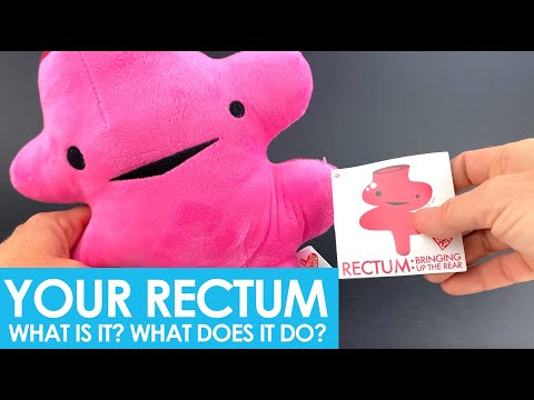 Rectum Plush - Bringing Up The Rear - Plush Organ Stuffed Toy Pillow