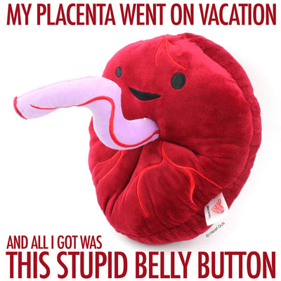 Placenta Plush - Baby's First Roommate - Plush Organ Stuffed Toy Pillow - I Heart Guts