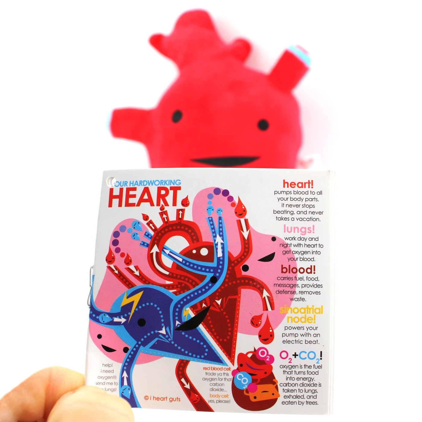 Heart Plush Toy - Stuffed Heart Plushie - Human Heart Organ - Anatomical Toys – I Heart Guts