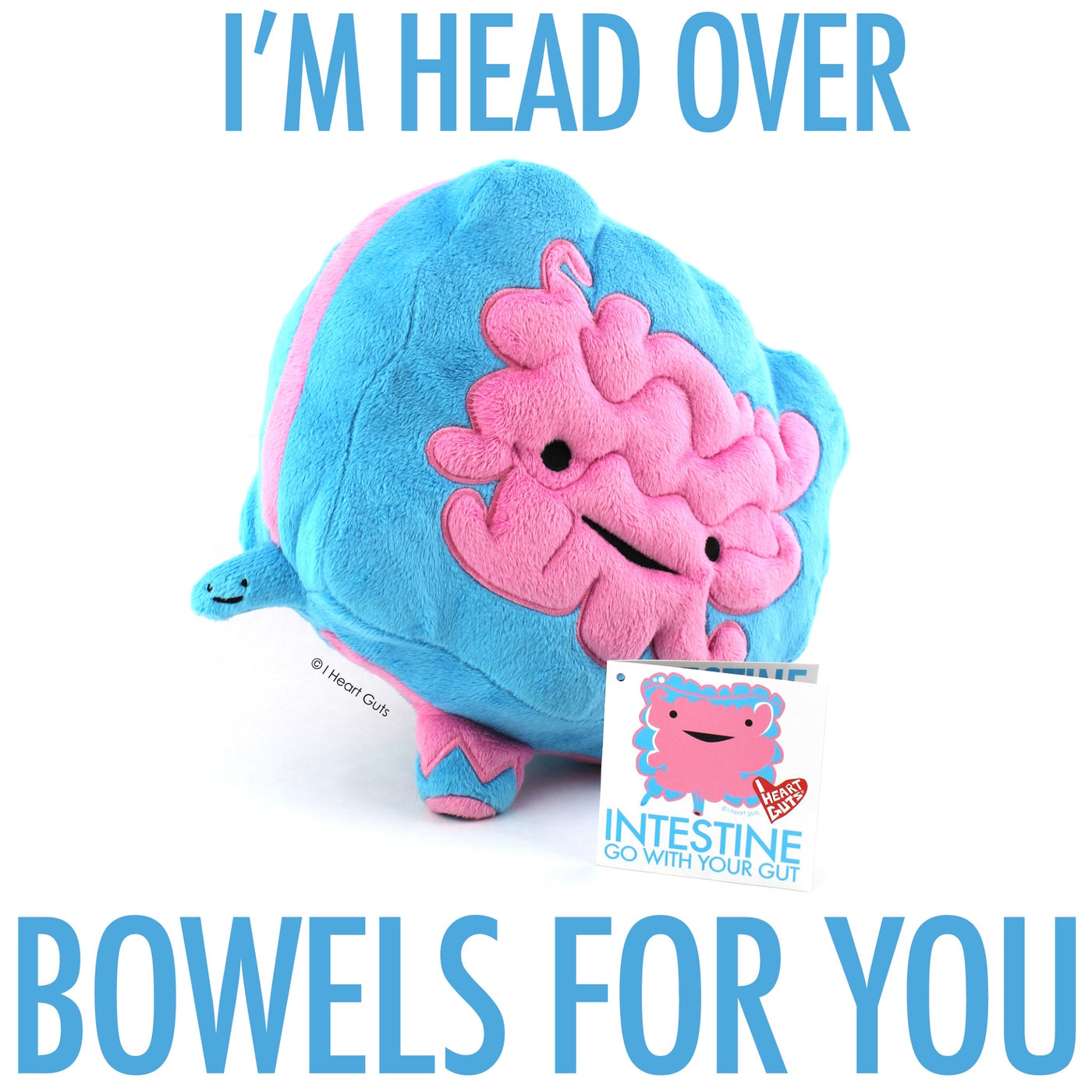 Intestine Plush - Go With Your Gut! - Plush Organ Stuffed Toy Pillow - I Heart Guts