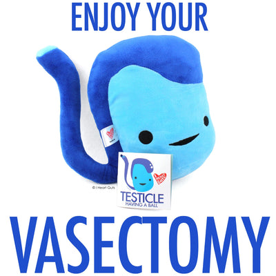 VAsectomy Plushie - Vasectomy Gift Idea - Testicles Plush