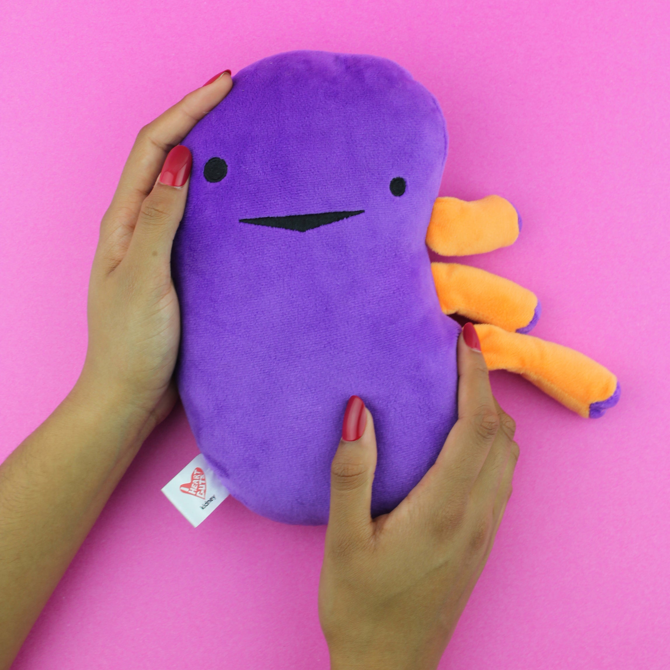 Kidney Plushie | Surgery Get Well Gift, Organ Donor Pillow Dialysis I ...
