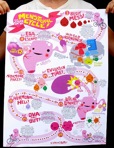 The Good Ol' Menstrual Cycle - 18" x 24" Poster - I Heart Guts