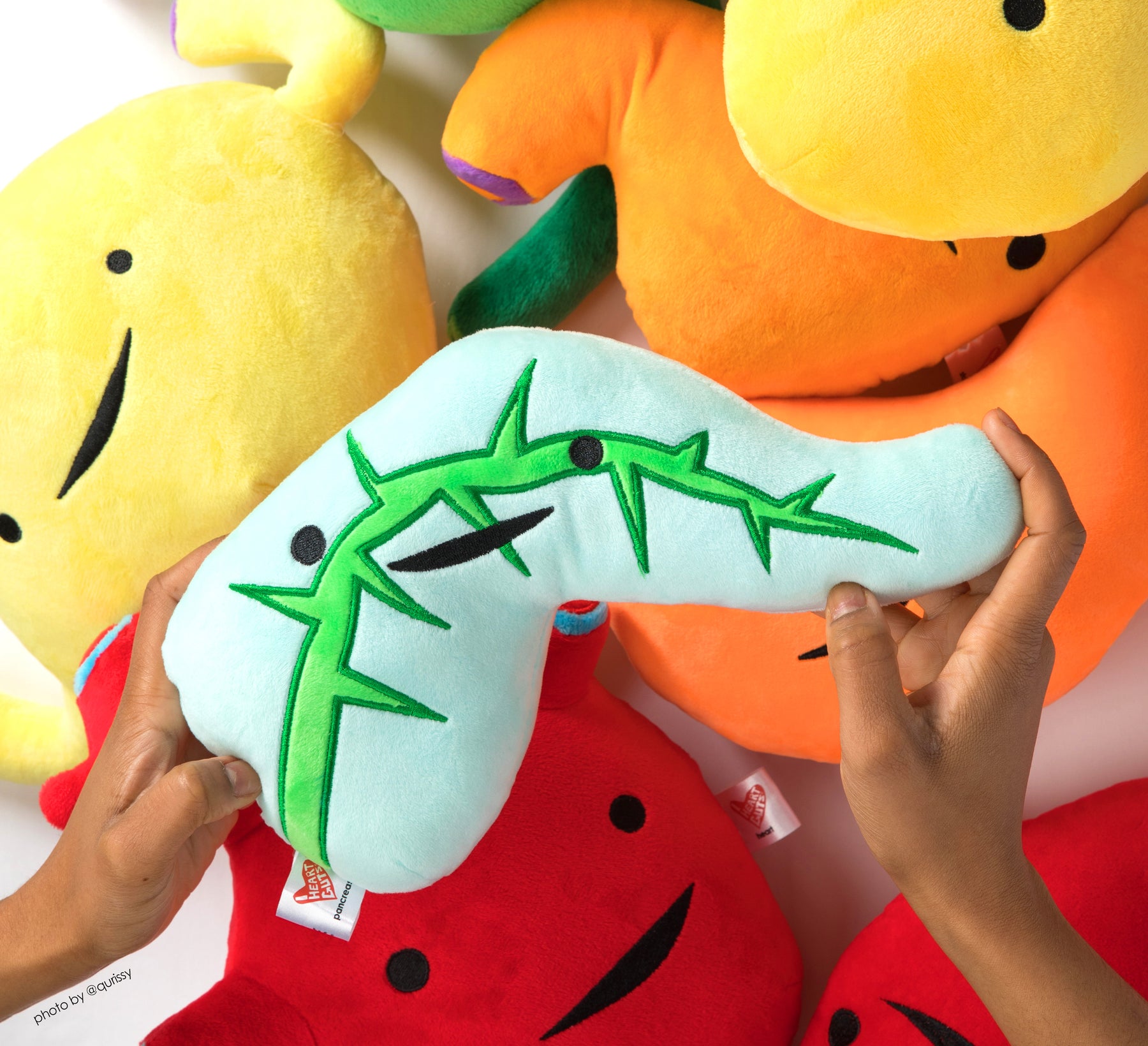 Pancreas Plushie | Diabetic Gift, T1D Stuffed Plush Organ | I Heart ...