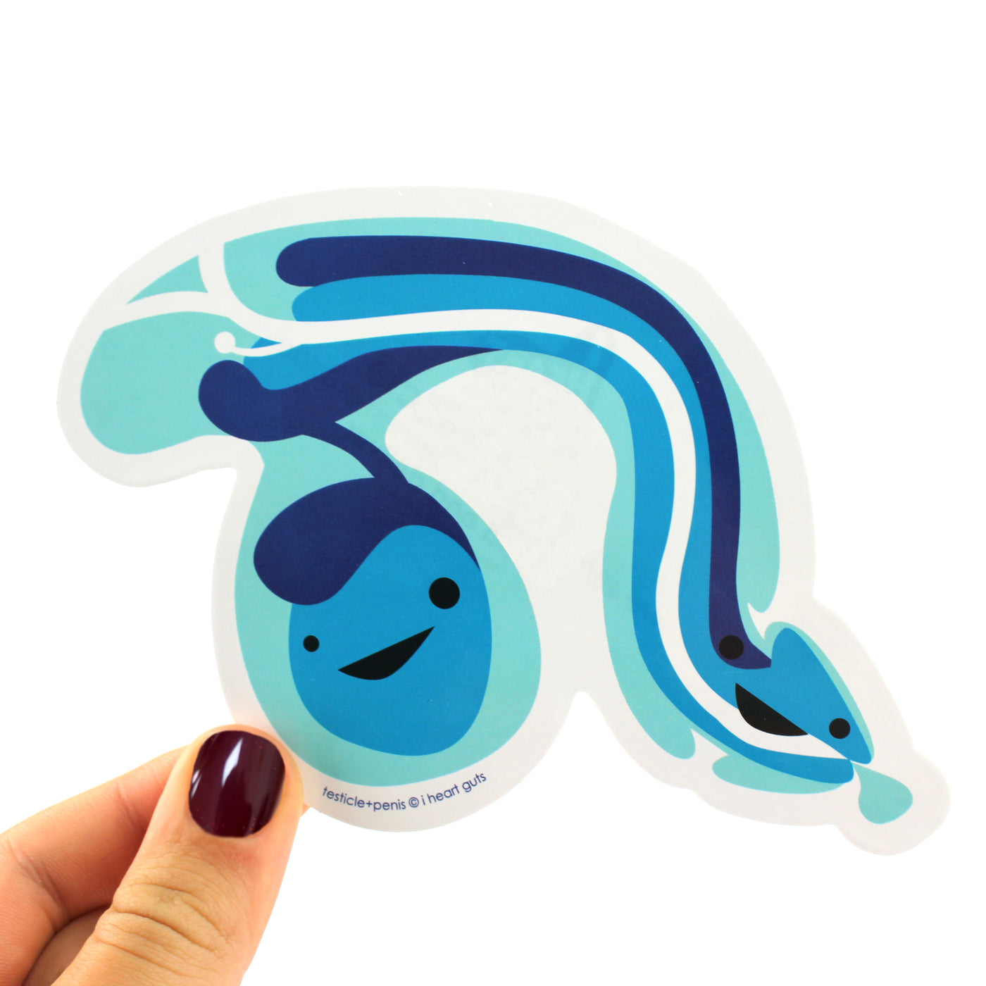 Sex Ed Anatomy Stickers | Cute Reproductive Anatomy Sticker Set Funny