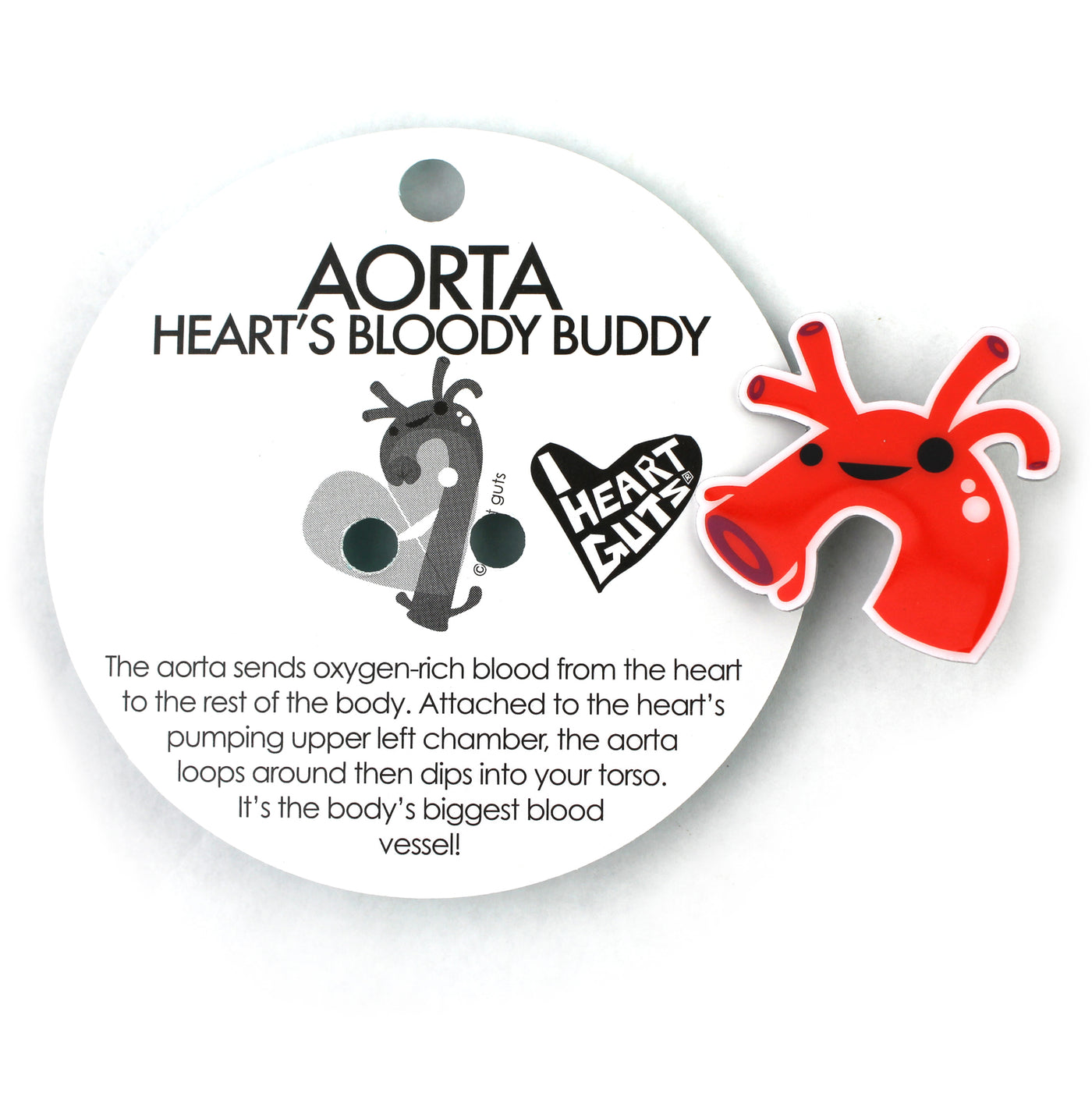 Aorta Lapel Pin | Blood Donation Pin - Cute Cardiac Anatomical Heart Pins