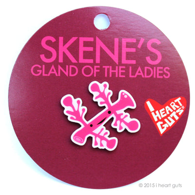 Skene's Gland Enamel Pins | Skene's Gland G-spot Pin - Women's Anatomy Pins Funny Cute