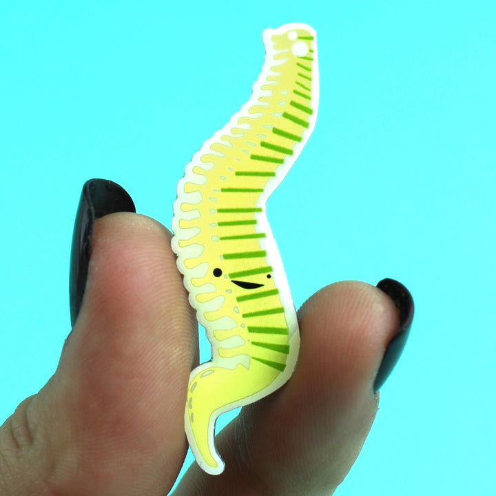 pin-spine-spinal-surgery-gift-