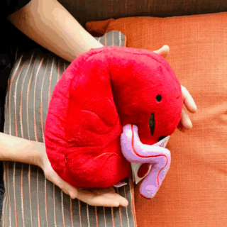 Placenta Plush Gifts | Placenta Organ Stuffed Animals, Cute Placenta Organ Plushies, and Placenta Enamel Pins | I Heart Guts