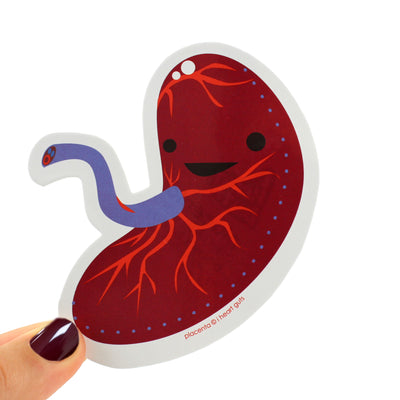 Sexy Reproductive Anatomy Stickers for Nerds Set - 15 Huge Stickers