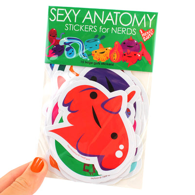 Sex Ed Anatomy Stickers | Cute Reproductive Anatomy Sticker Set Funny