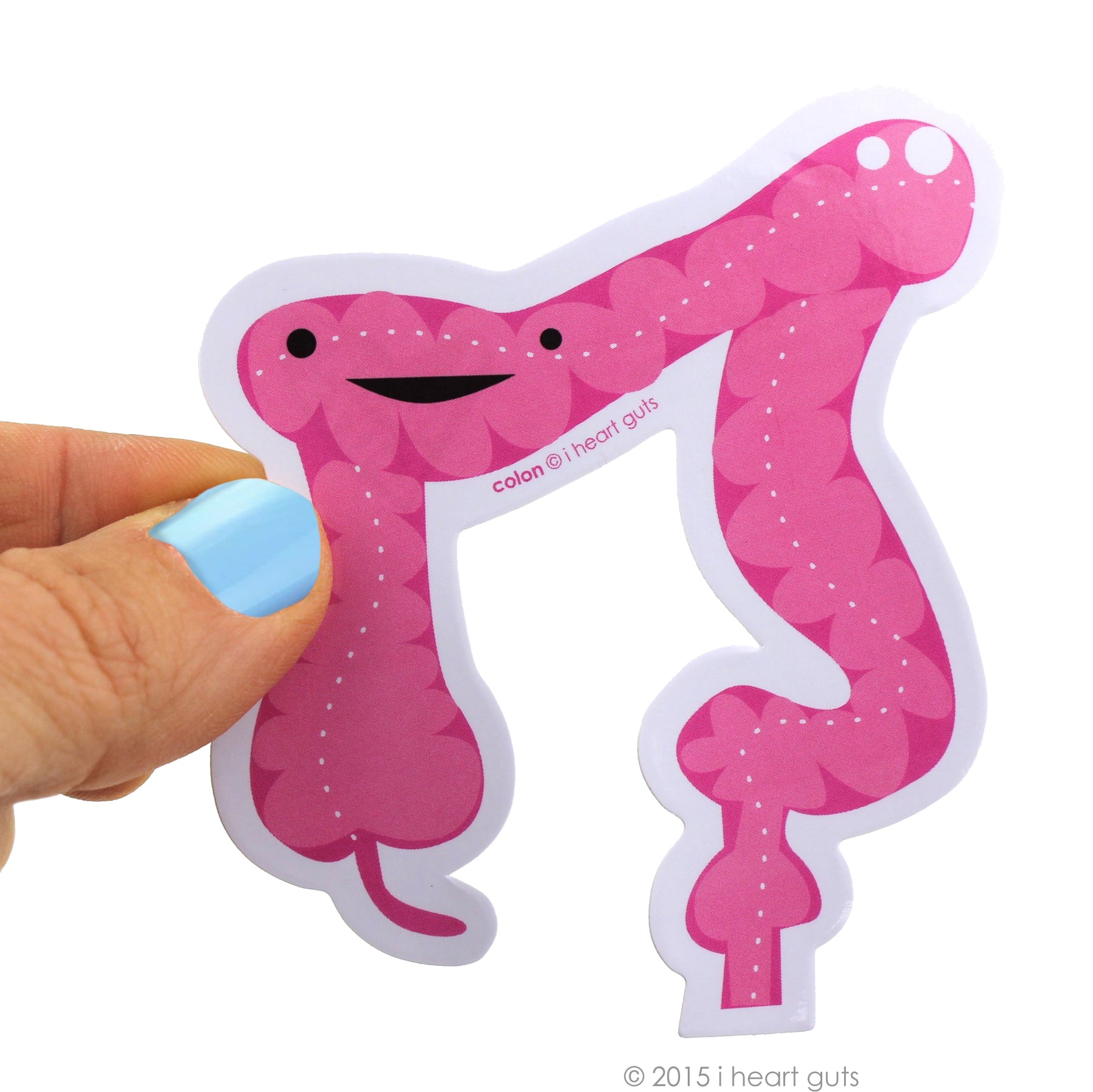 Colonoscopy Sticker Designs Pile of Colon Stickers - 15 Colon Stickers | I Heart Guts Plush Organs