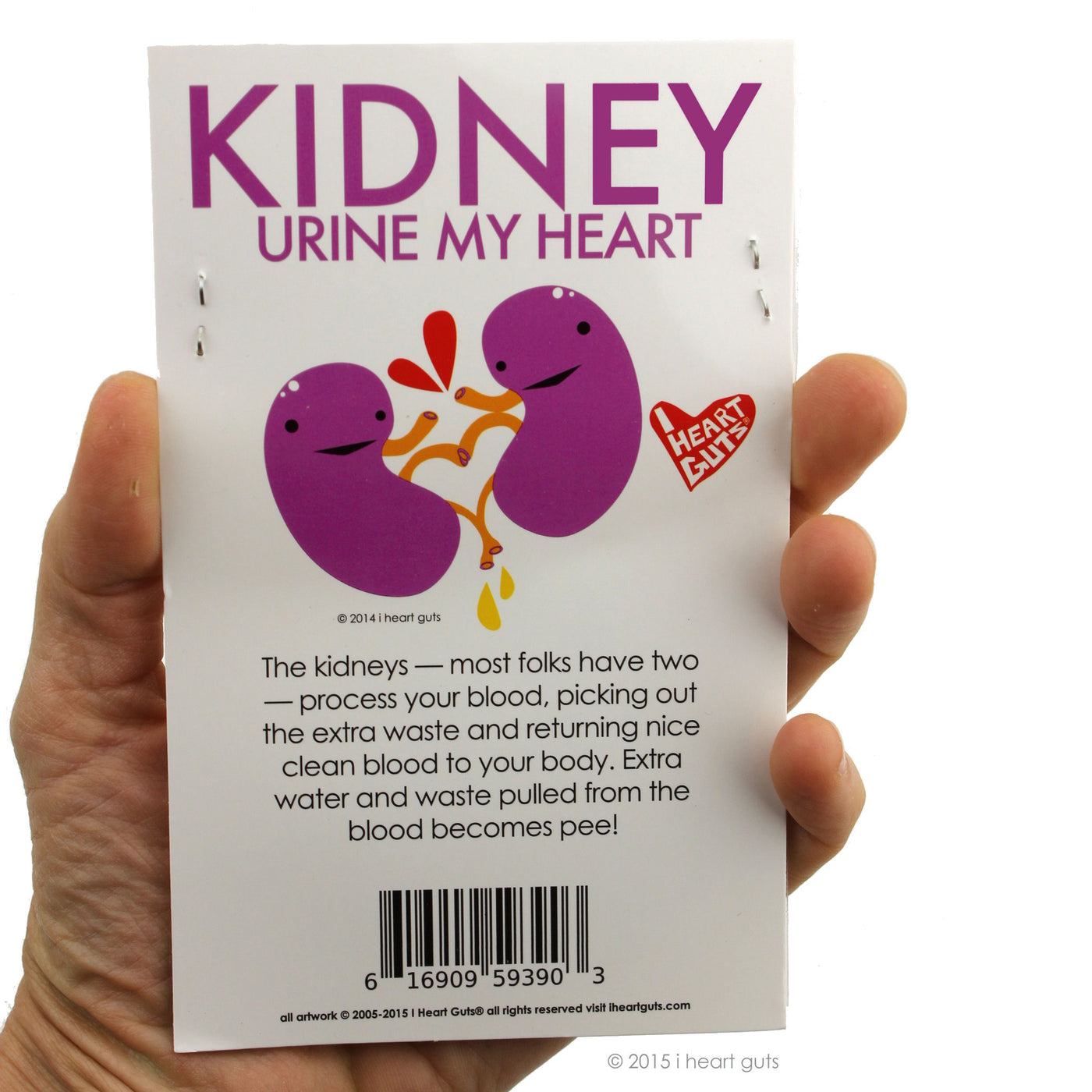 Kidney Stickers | Cute Funny Kidney Donor and Transplant Sticker Set