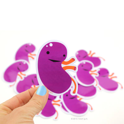 Kidney Stickers | Cute Funny Kidney Donor and Transplant Sticker Set