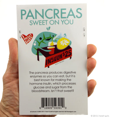 Pancreas Stickers | Cute Diabetic Stickers - T1D Diabetes Sticker Set